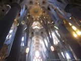 My Gallery (83/141)